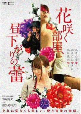 辛迪加影视亲子共看拼贴卡片候鸟邮差
